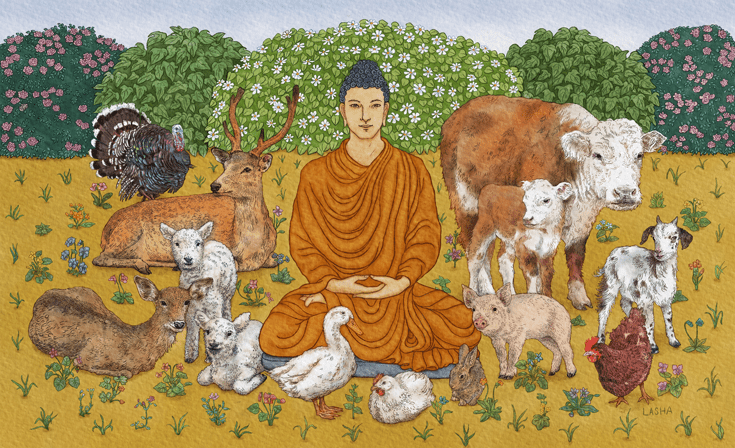 Do Buddhists Eat Meat? - Geshe Phelgye - Universal Compassion